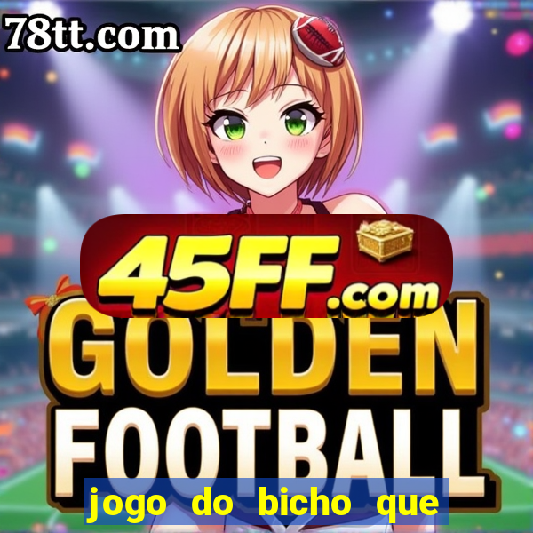 jogo do bicho que paga no pix